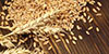 Manufacturers & Suppliers of Malt Syrups